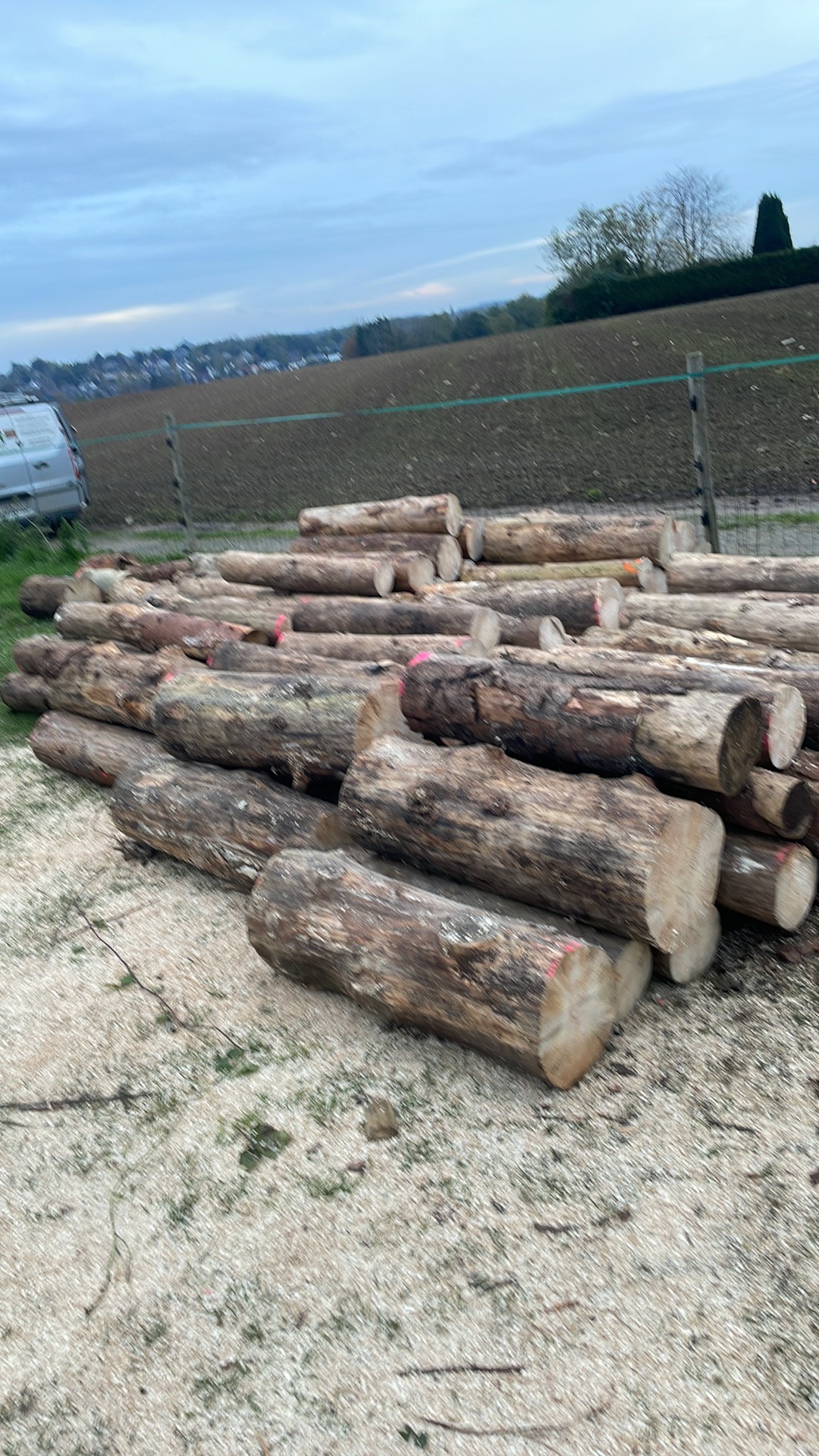 exemple de réalisation de woodmax