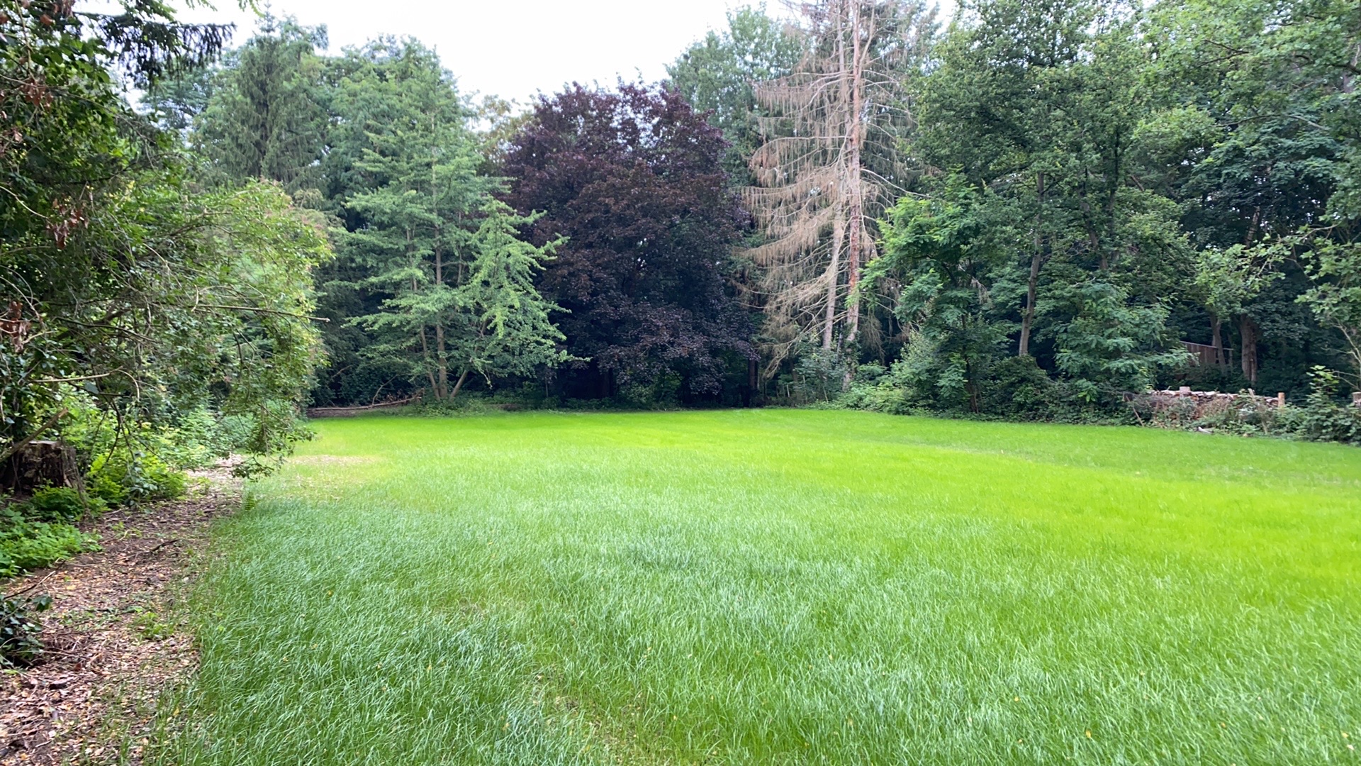 exemple de réalisation de woodmax